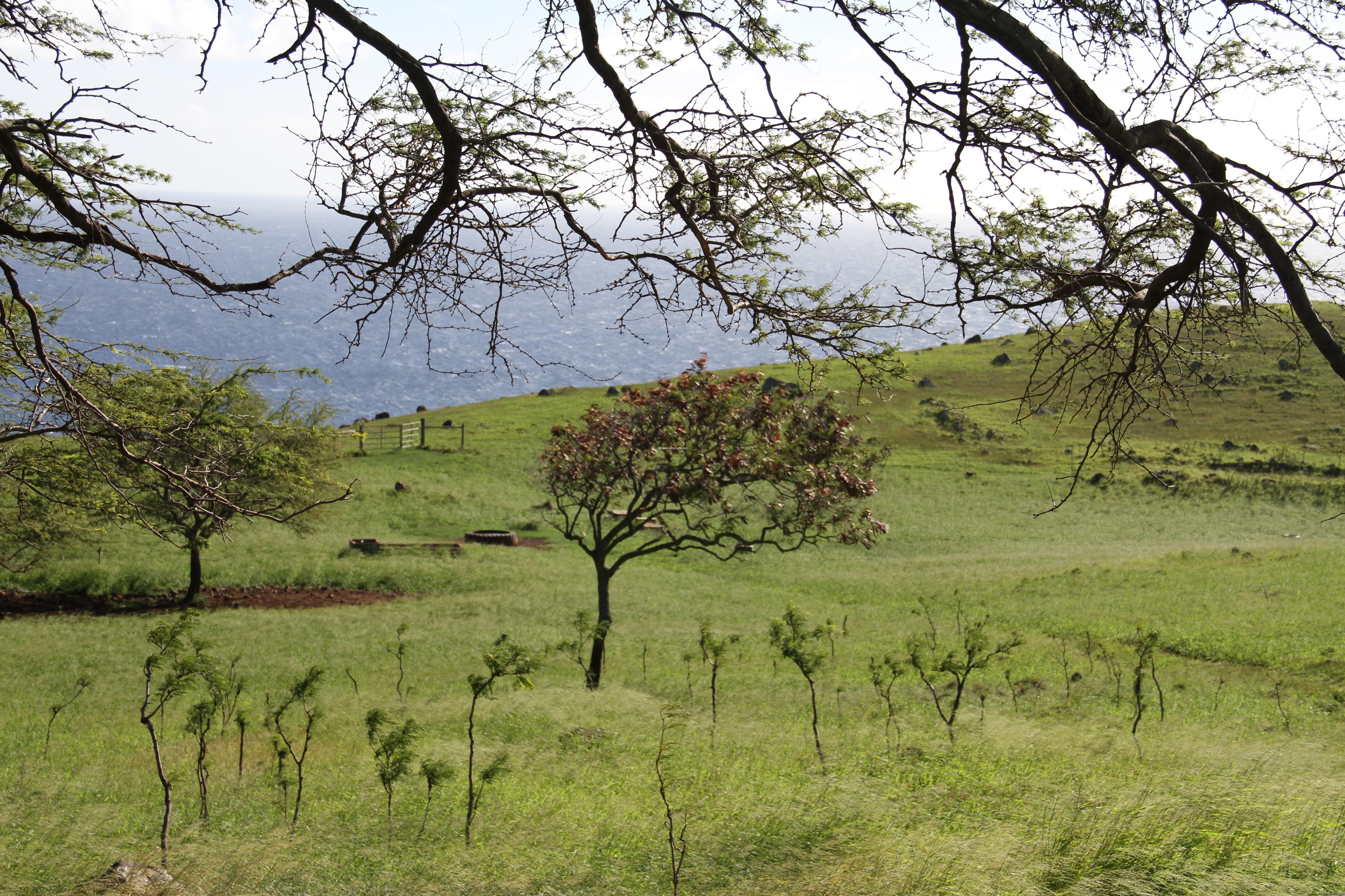Scenic views on the way to Haleakala