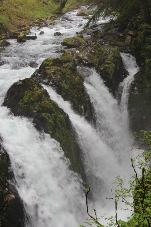 Sol Duc falls