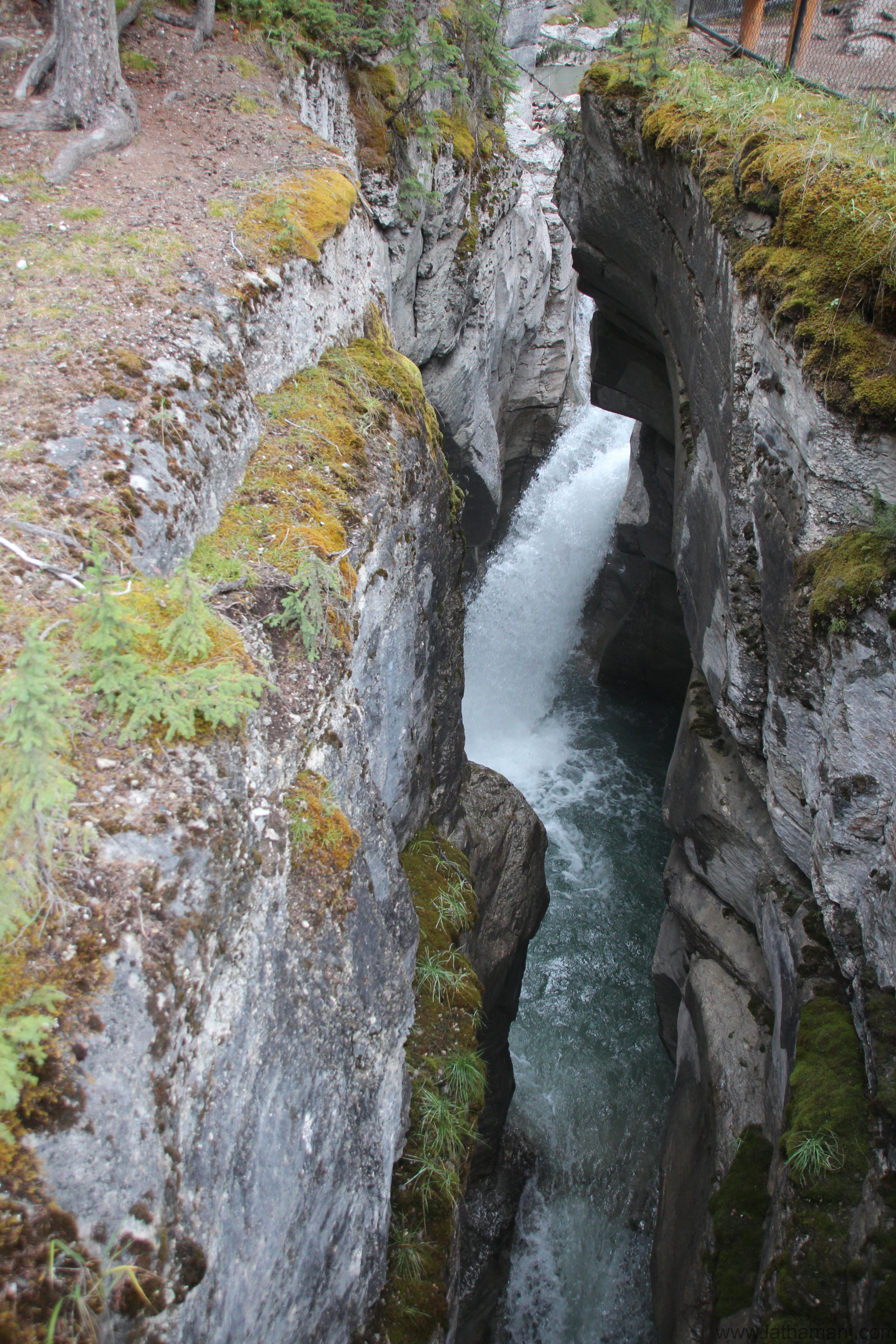 Maligne Canyon