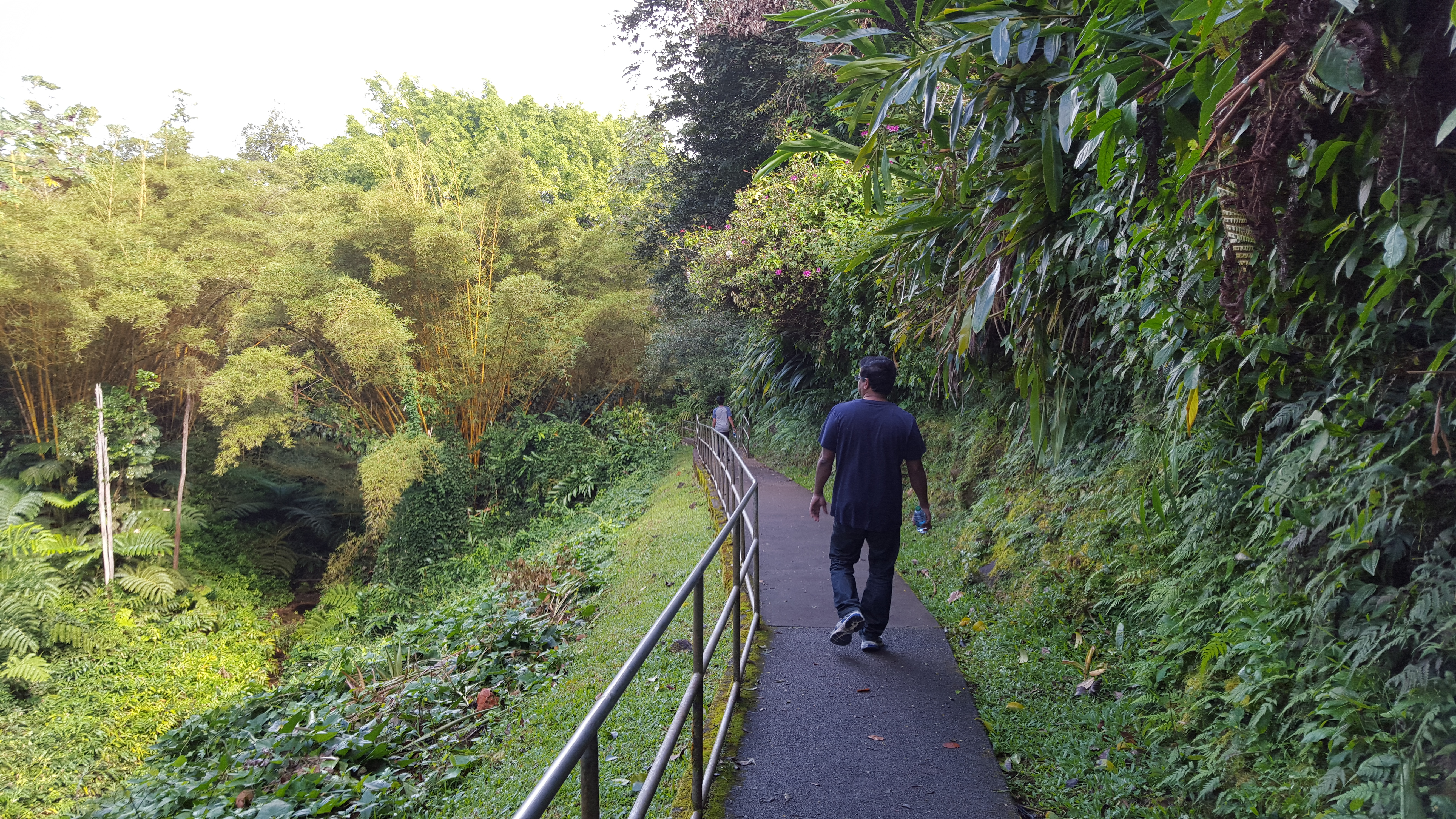 Akaka falls - Hiking Trails