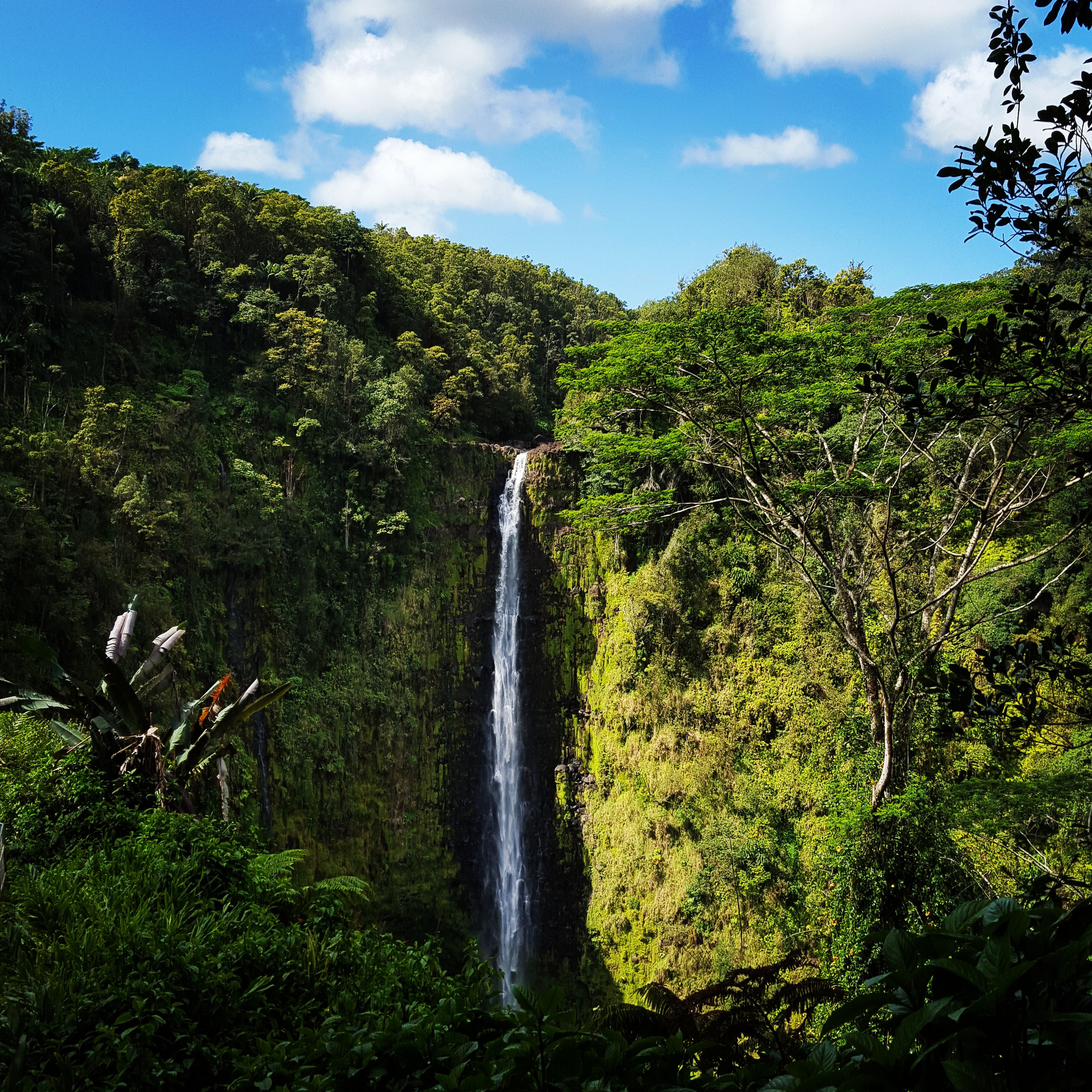 Akaka falls