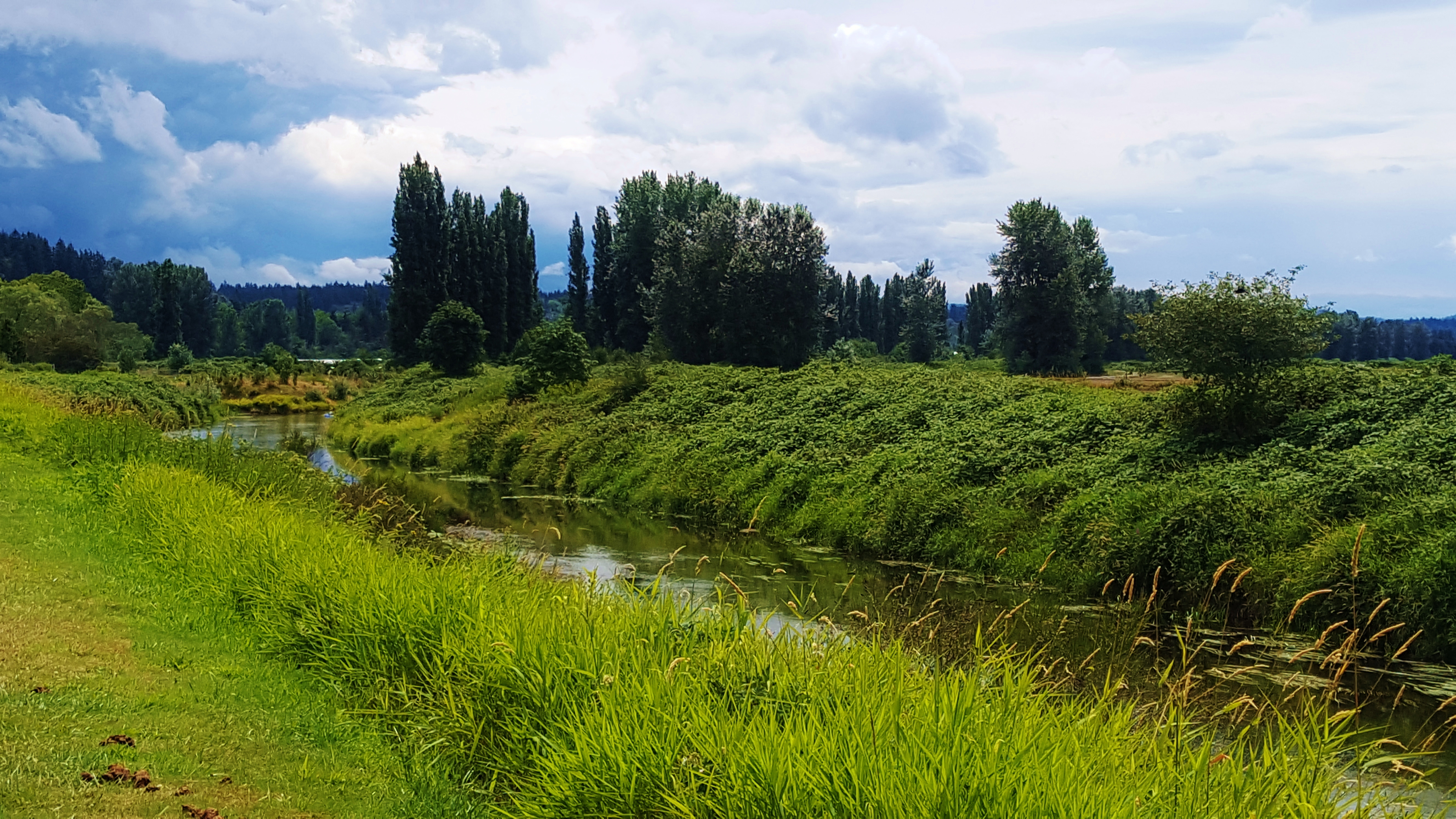 Views near Woodinville WA