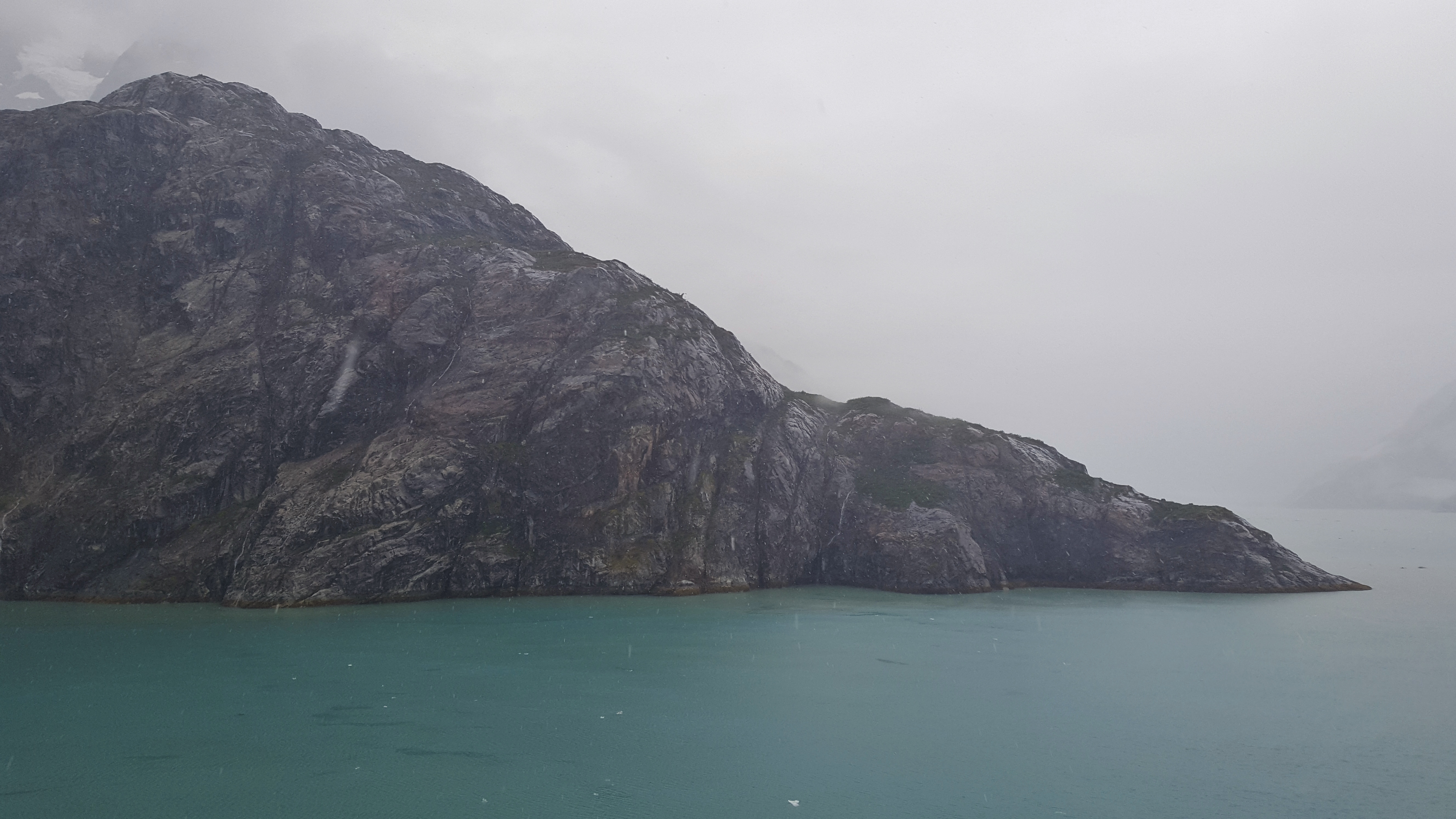This looked like a dinosaur as we moved past the fog.